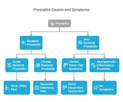 Image result for Chronic Bacterial Prostatitis