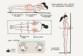 Chaturanga Dandasana Iyengar Yoga Chaturanga Dandasana Yoga Guide