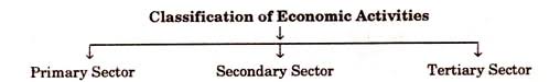 The tertiary economic activity or service sector encompasses the production of services instead of end goods that meet the needs of individuals. Classification Of Economic Activities