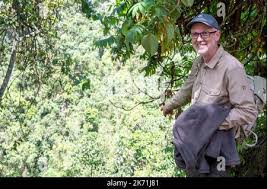 Image result for Carapa wohllebenii