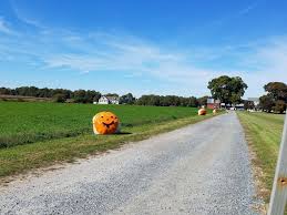 Image result for tbn:0PJB32OL7JwfOM::farm4.static.flickr.com/3324/3329876139_f2d551139f.jpg