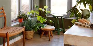 Y es que además de su función decorativa, purifican el aire, nos permiten estar en contacto con la naturaleza, ayudan a. 20 Rincones Con Plantas Dentro De Casa Plantas De Interior