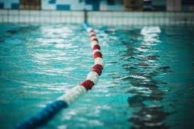 Piscine Des Dauphins Home Facebook