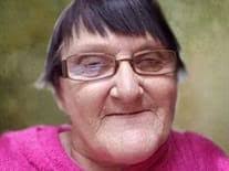 Mary Lou Waldo Snizek Obituary (1948