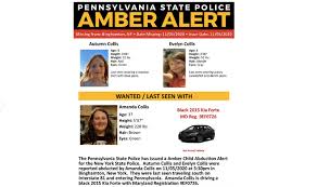 Today, amber alert europe and the international centre for missing and exploited children hosted a webinar on risk assessment. Pennsylvania State Police Issue Amber Alert For Two Girls Abducted From New York Phillyvoice