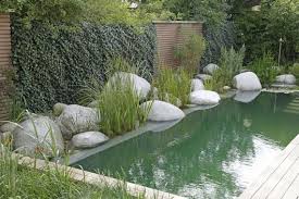 Schwimmteich Oder Pool 5 Kriterien Fur Ihre Entscheidung Ratgeberzentrale Schwimmteich Schwimmen Teich
