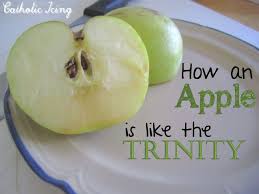 How Are Apples Like The Trinity An Object Lesson For Kids Childrens Church Lessons Sunday School Sunday School Lessons