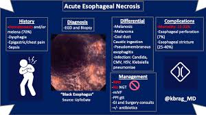 Cytomegalovirus (cmv) and congenital cmv infection. Acute Esophageal Necrosis History Hematemesis And Or Grepmed