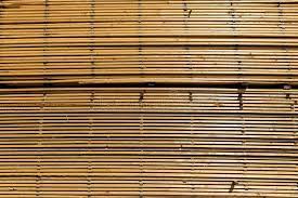 Find & download the most popular thin frame vectors on freepik free for commercial use high quality images made for creative projects. 373 Frame Long Thin Photos Free Royalty Free Stock Photos From Dreamstime