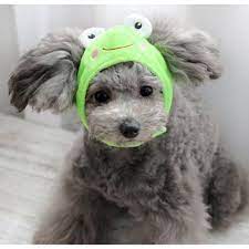 Cartoon Pet Dog Hat With Ear Holes Cute Pet Costume Headwear Cap For Cat And Small Dog Frog M See This Dog Costumes Funny Dog Diapers Cute Small Animals