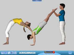 Resultado de imagen para acroportes