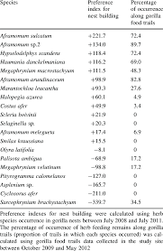 Image result for Hypselodelphys scandens