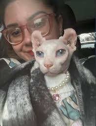 Danielle Brawner's Instagram, Twitter & Facebook