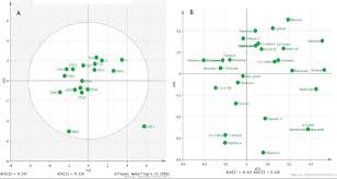 Image result for Athrixia phylicoides