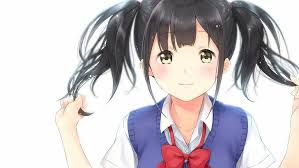 Thats the perfect way to express them as most anime girls in this list are super unique and indescribable. Hd Wallpaper Anime Girls Twintails Dark Hair Face White Background Wallpaper Flare