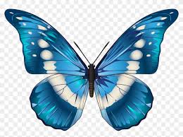 Maybe you would like to learn more about one of these? Butterfly Blue Png Clip Art Image Transparent Background Butterfly Clipart Free Transparent Png Clipart Images Download