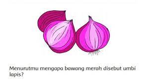 Check spelling or type a new query. Kunci Jawaban Buku Tematik Sd Kelas 3 Tema 1 Subtema 4 Pembelajaran 4 Halaman 168 169 172 Tribun Ambon