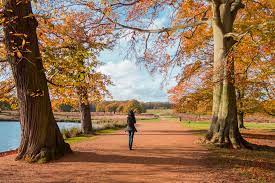 Richmond park is the largest of the royal parks, occupying some 2,500 acres. Fall In Love With Richmond Park In London The World Is Kullin