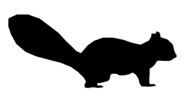 Black And White Squirrel With Acorn Clipart Squirrel Acorn Silhouette Clipart Best Clipart Best Squirrel Silhouette Squirrel Clipart Squirrel