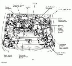 Department all i have is a number stamped on the chassis which is the am also looking for a wire diagram for the engine. 2008 Vw Beetle Engine Diagram Wiring Diagram Filter Phone Design Phone Design Cosmoristrutturazioni It