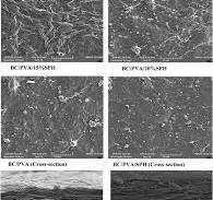 Characterization of bacterial cellulose/PVA composite films ...