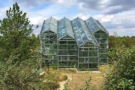 Botanischer garten osnabrück persönlich besucht und für schön befunden aus diesen gründen lohnt sich dein ausflug dorthin. Botanischer Garten Osnabruck Grunstes Ausflugsziel Der Domstadt