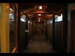 Lots of customers like these promos and we have helped them save much money. Stone Mountain Pet Lodge Video Tour Youtube