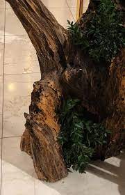 Marka u slobodnici kod slavonskog broda. Jisajev Panj Patrologija