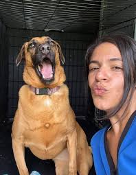 Brownie Blondie Foundation by Marjorie Andino