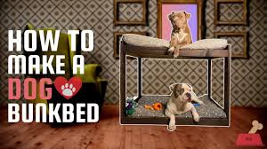 We built a puppy bunk bed for our two pups, zero and athena, from a 4 x 4 x 8 ft. How To Build A Dog Bed Diy Dog Bed How To Make A Dog Bed Easy Diy Bunkbed Youtube