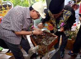Peniaga Madu Kelulut Untung Besar Rm300 Juta Setahun Peniagamadu Kelulut Mampu Memperoleh Pulangan Sebanyak Rm280 Juta Hingga Rm Stingless Bees Malaysia Fish