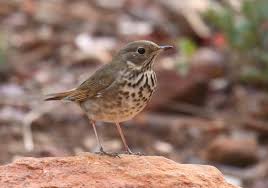 We did not find results for: Greg In San Diego November 2018