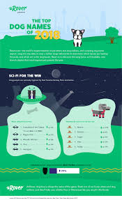 We hope this list of tv themed dog names gives you an idea on naming your pup. Top 100 Most Popular Dog Names In 2020 Rover Com Dog Names Popular Dog Names Most Popular Dog Names