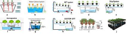 And there is no better example of this than digital signal processing (dsp). Illustration Of The Type Of Hydroponic System A Wick B Water Download Scientific Diagram