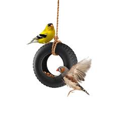 Maybe you would like to learn more about one of these? Tire Swing Bird Feeder Tire Birds Bird Feeders Tire Swing
