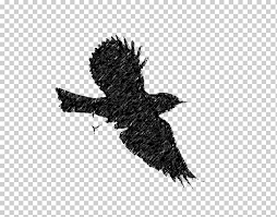 Bird Flight European Robin Silhouette Bird Animals Fauna Flight Png Klipartz Free vector silhouettes for commercial use in.svg and.png format with a transparent background. klipartz