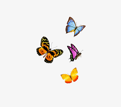 Download Magical Transparent Background Butterfly Png Png Gif Base Download free butterfly png images. download magical transparent background