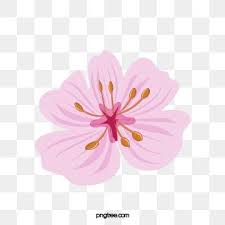 Cartoon Pink Cute Flower Illustration Flower Pink Exquisite Png Transparent Clipart Image And Psd File For Free Download In 2020 Flower Illustration Watercolor Flower Background Pink Flowers Background