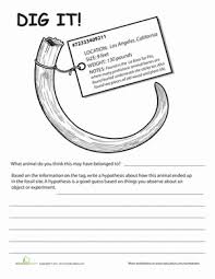 Download and print turtle diary's fossils worksheet. Fossils For Kids Worksheet Education Com