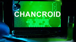 Image result for chancroid