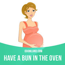 Idiom Land English Idioms Idioms English Vocab