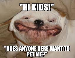 My dog is not fat… just big boned! Meme Creator Fat Smiling Dog Meme Generator At Memecreator Org