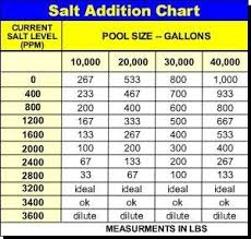 salt water pools 101 salt water pool maintenance pool