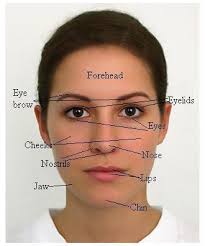 Here is some useful vocabulary for talking about the head and the face… when applying these words be sure to check out our post on basic grammar structures in chinese so you can apply the adjective to the body part correctly 🙂. It S Written All Over Your Face The Science Of Facial Expressions Science Project