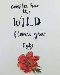 Which bible verse was most helpful? Consider How The Wild Flowers Grow Luke 12 27 Luke 12 Flowers Chalk Art
