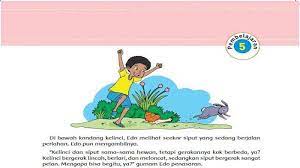 Kunci jawaban tema 1 kelas 5 hal 46. Kunci Jawaban Tema 1 Kelas 5 Halaman 41 42 43 44 45 46 47 48 49 50 Subtema 1 Organ Gerak Hewan Tribun Pontianak