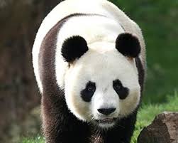 La maison de manon 3mn de beauval. 10 Meilleurs Hotels Proches Zooparc De Beauval Saint Aignan Sur Tripadvisor