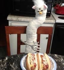 R Cursedimages 15 Furby Cursed Image Know Your Meme @trashcangimmick (surprising nobody) likes to share cursed images. r cursedimages 15 furby cursed image