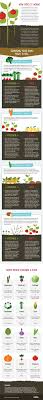 We did not find results for: Companion Planting A Beginner S Guide The English Garden