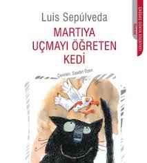 Martiya Ucmayi Ogreten Kedi Ozeti Volbiex